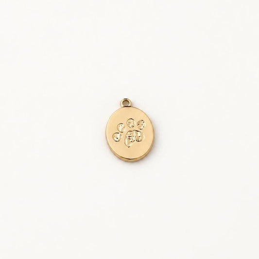 Paw Print Charm, Gold Stainless Steel Pet Medallion, 14mm Dog Cat Paw Pendant for Jewelry Making