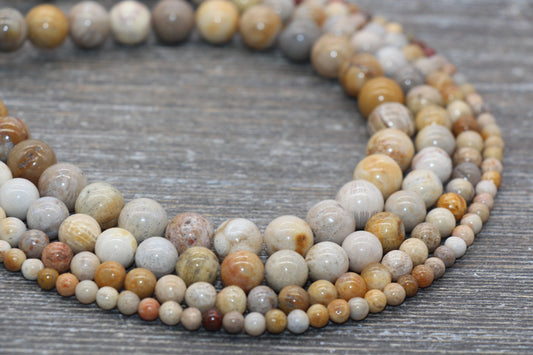 Fossil Coral Jasper Beads, Fossil Beads, Coral Gemstones Round Beads, Jewelry Making Bracelet Beads, Size 4mm 6mm 8mm 10mm #217
