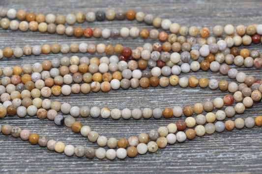 Fossil Coral Jasper Beads, Fossil Beads, Coral Gemstones Round Beads, Jewelry Making Bracelet Beads, Size 4mm 6mm 8mm 10mm #217