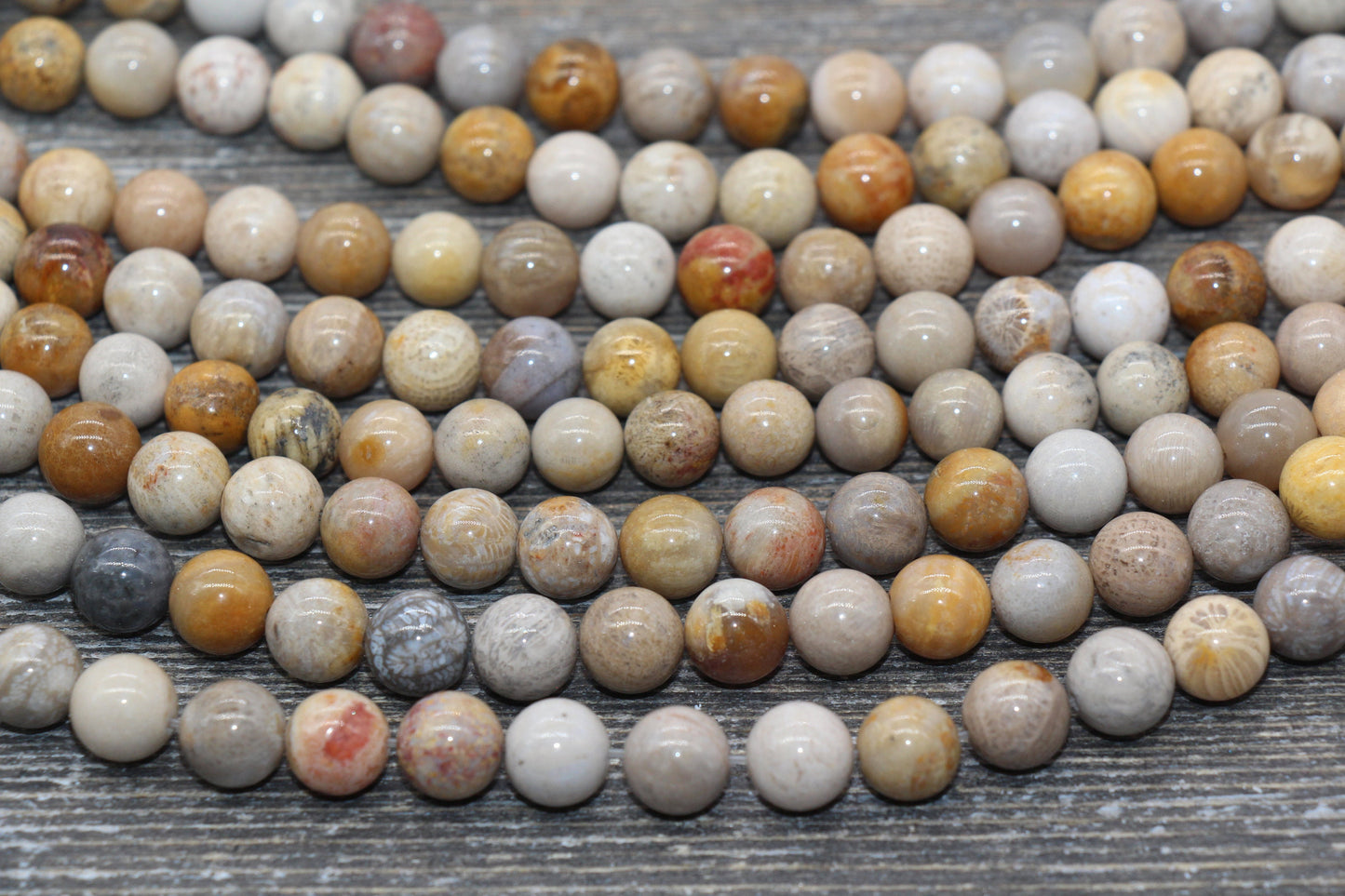 Fossil Coral Jasper Beads, Fossil Beads, Coral Gemstones Round Beads, Jewelry Making Bracelet Beads, Size 4mm 6mm 8mm 10mm #217