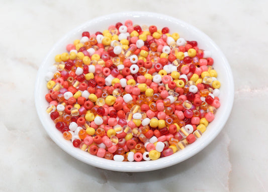 Mix Glass Seed Beads, 4mm 6/0 Glass Seed Beads, Multicolor Seed Beads, Rocailles Beads, Bracelet Beads, Beading Supplies #3056