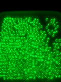 4mm Glow in the dark Glass Beads, Transparent Green Lined Beads #2302