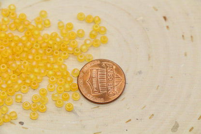 3mm Matte Iridescent Golden Orange Glass Beads, Frosted AB Round Beads #2281