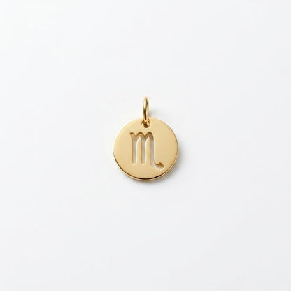 Gold Zodiac Charm, Stainless Steel Astrology Pendant, Horoscope Sign Necklace Charm, Celestial DIY Jewelry Supply