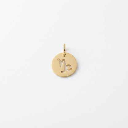 Gold Zodiac Charm, Stainless Steel Astrology Pendant, Horoscope Sign Necklace Charm, Celestial DIY Jewelry Supply