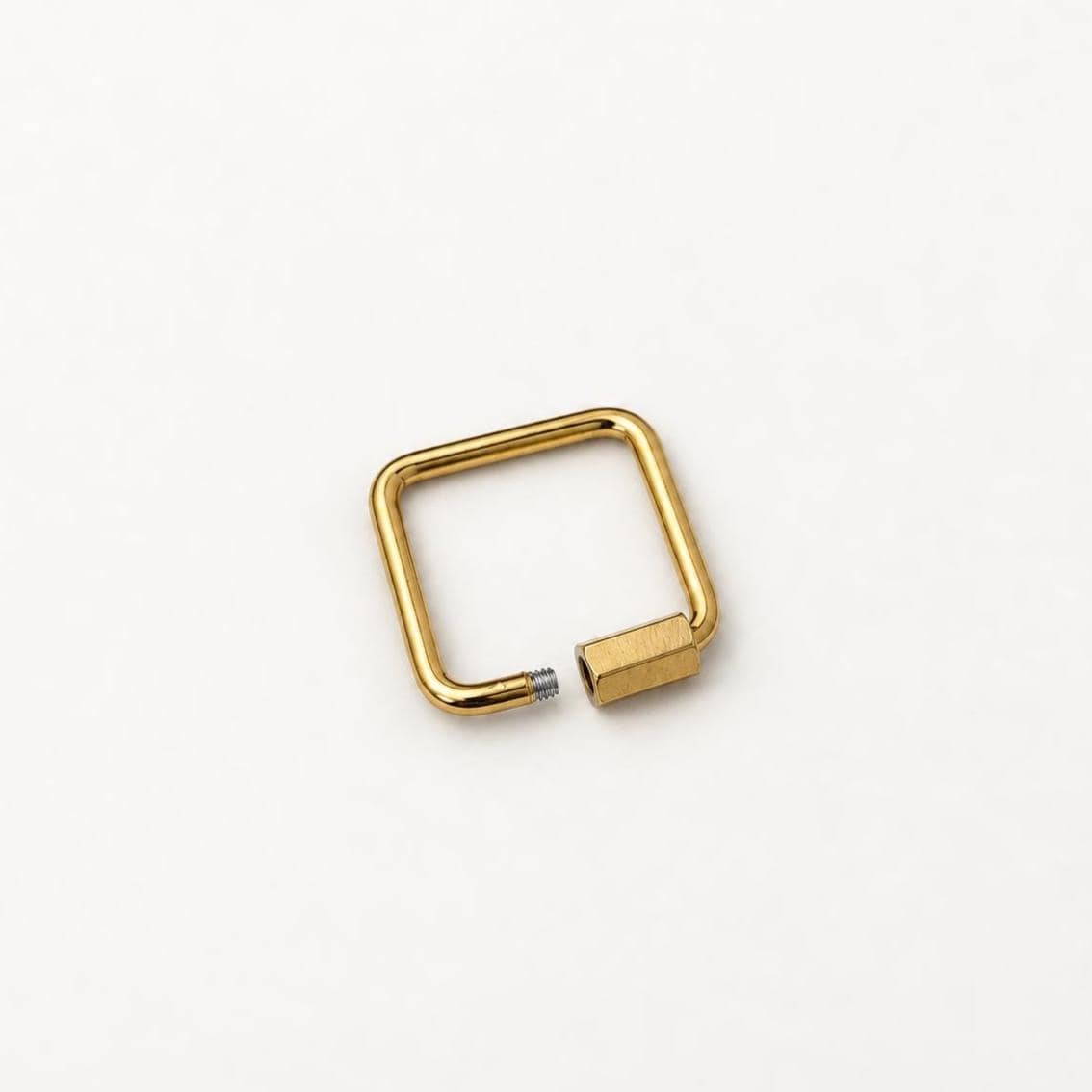 Screw Lock Clasps, Openable Metal Connectors, Rectangle Oval Carabiner Clasps, Jewelry Making Findings for Charms & Chains