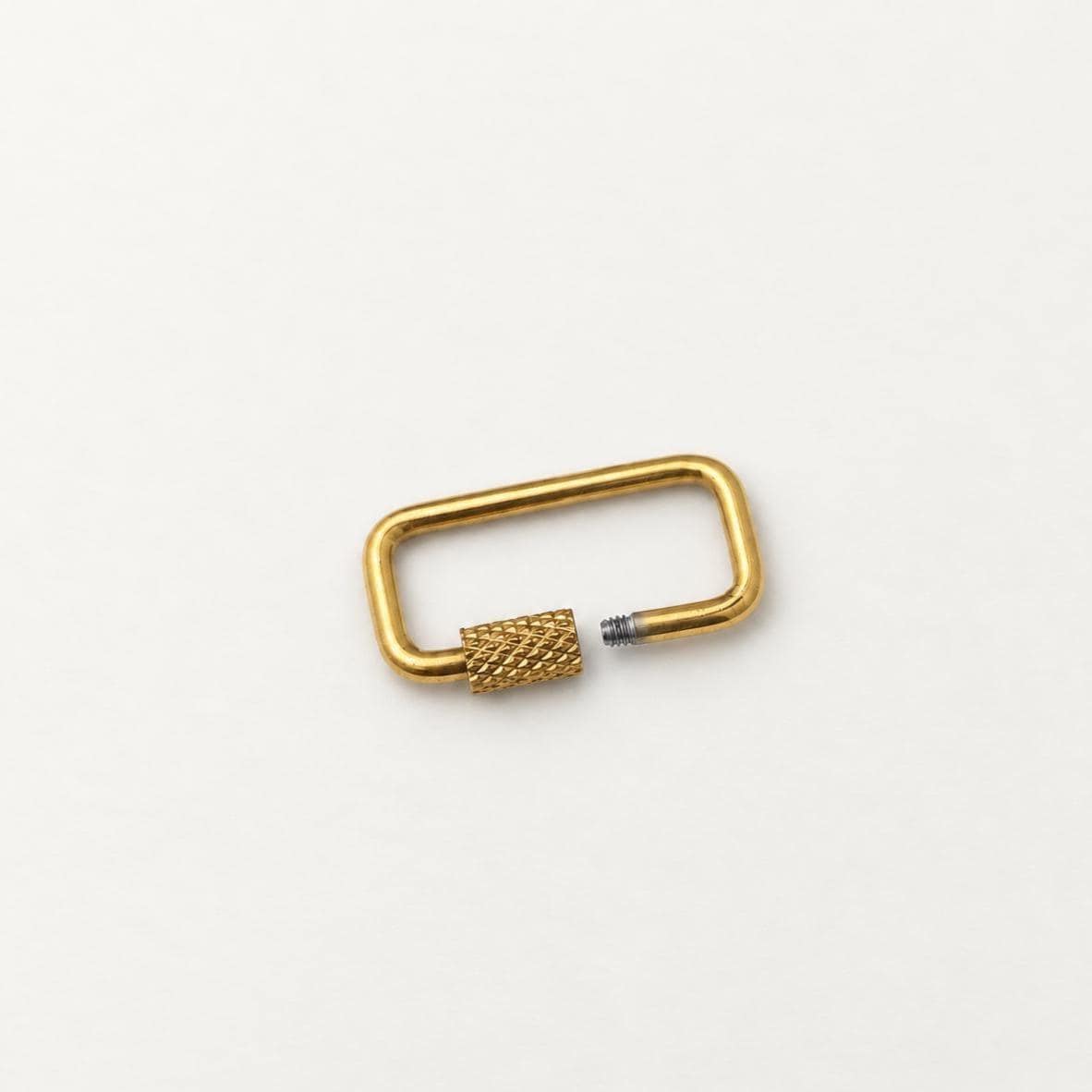 Screw Lock Clasps, Openable Metal Connectors, Rectangle Oval Carabiner Clasps, Jewelry Making Findings for Charms & Chains