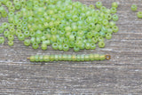 Matte Iridescent Glass Seed Beads, 4mm 6/0 Glass Round Seed Beads, Matte Green AB Seed Beads, Rocailles Beads, Beading Supplies #1174