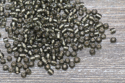 Transparent Glass Beads with Silver Lined, 4mm 6/0 Glass Round Beads, Black Trans Seed Beads, Rocailles Beads, Beading Supplies #1229