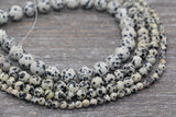 Dalmatian Jasper Beads, Black Spotted Dot Gemstone Smooth Round Beads, Size 6mm 8mm 10mm 12mm, Full Strand 15.5 inch, #108