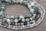 Tree Agate Beads, Natural Gemstone Round Beads, Sizes 4mm 6mm 8mm 10mm 12mm, Full Strand 15.5 inch, #102