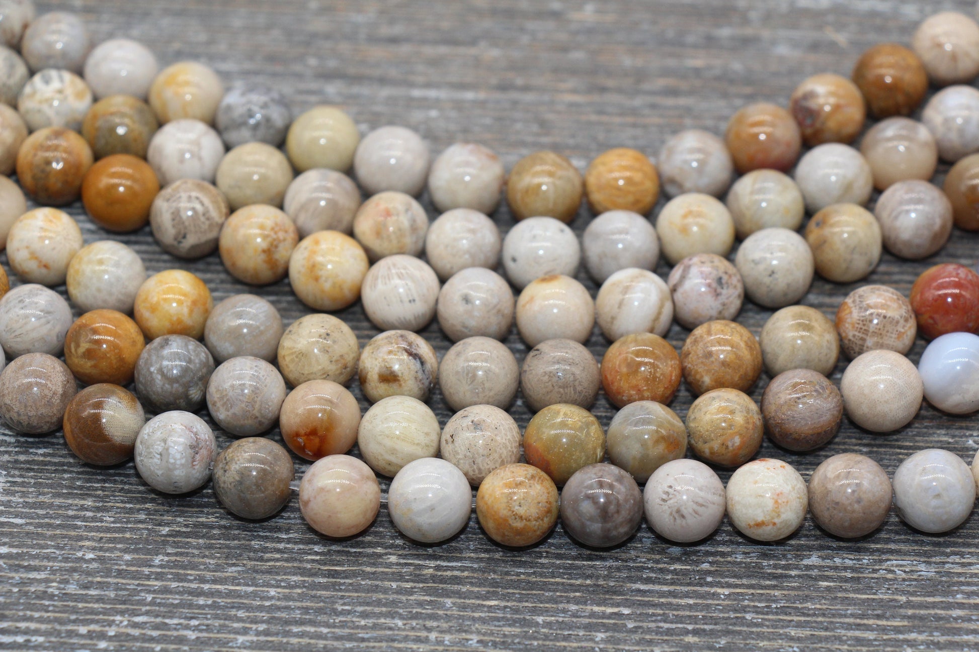 fossil coral jasper beads, stone beads for bracelets image 5