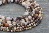 Australian Zebra Jasper Beads, Natural Gemstones Round Beads, Sizes 4mm 6mm 8mm 10mm, Full Strand 15.5 inch, #78