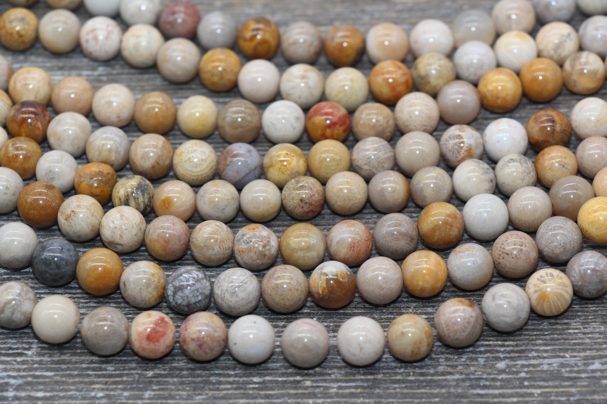fossil coral jasper beads, stone beads for bracelets image 4