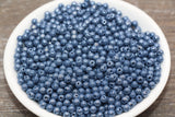 Round Dusty Blue Glossy Glass Beads, 4mm Glass Round Seed Beads, Glossy Dusty Blue Opaque Seed Beads, Beading Supplies #2181