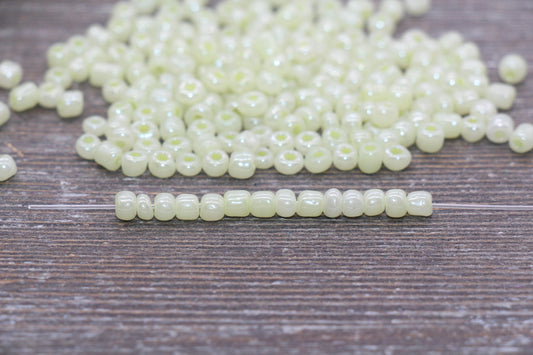 Creamy Glass Seed Beads, 4mm 6/0 Glass Round Seed Beads, Creamy Light Yellow Seed Beads, Glossy Rocailles Beads, Beading Supplies #2064