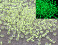 4mm 6/0 glow in dark in dark transparent yellow lining glass seed beads for bracelets