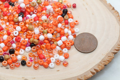 Mix Orange Glass Seed Beads, 4mm 6/0 Glass Seed Beads, Mix Multicolor Seed Beads, Rocailles Beads, Beading Supplies #2910