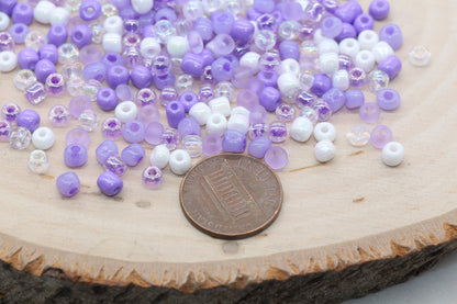 Mix Purple and White Glass Seed Beads, Frosted Purple 4mm 6/0 Glass Seed Beads, Multicolor Seed Beads, Rocailles Beads, Bracelet Beads #3109